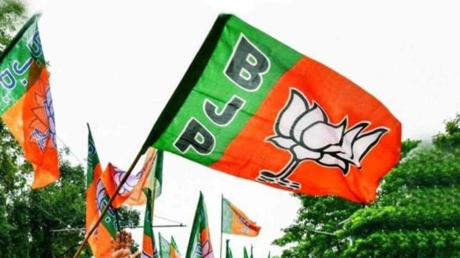 BJP Flag 1746359025885 1746359038681