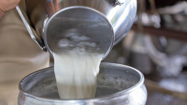 আপনিও কি ভেজাল দুধ খাচ্ছেন? ঘরে বসেই আয়োডিন ব্যবহার করে দেখুন চেক করে