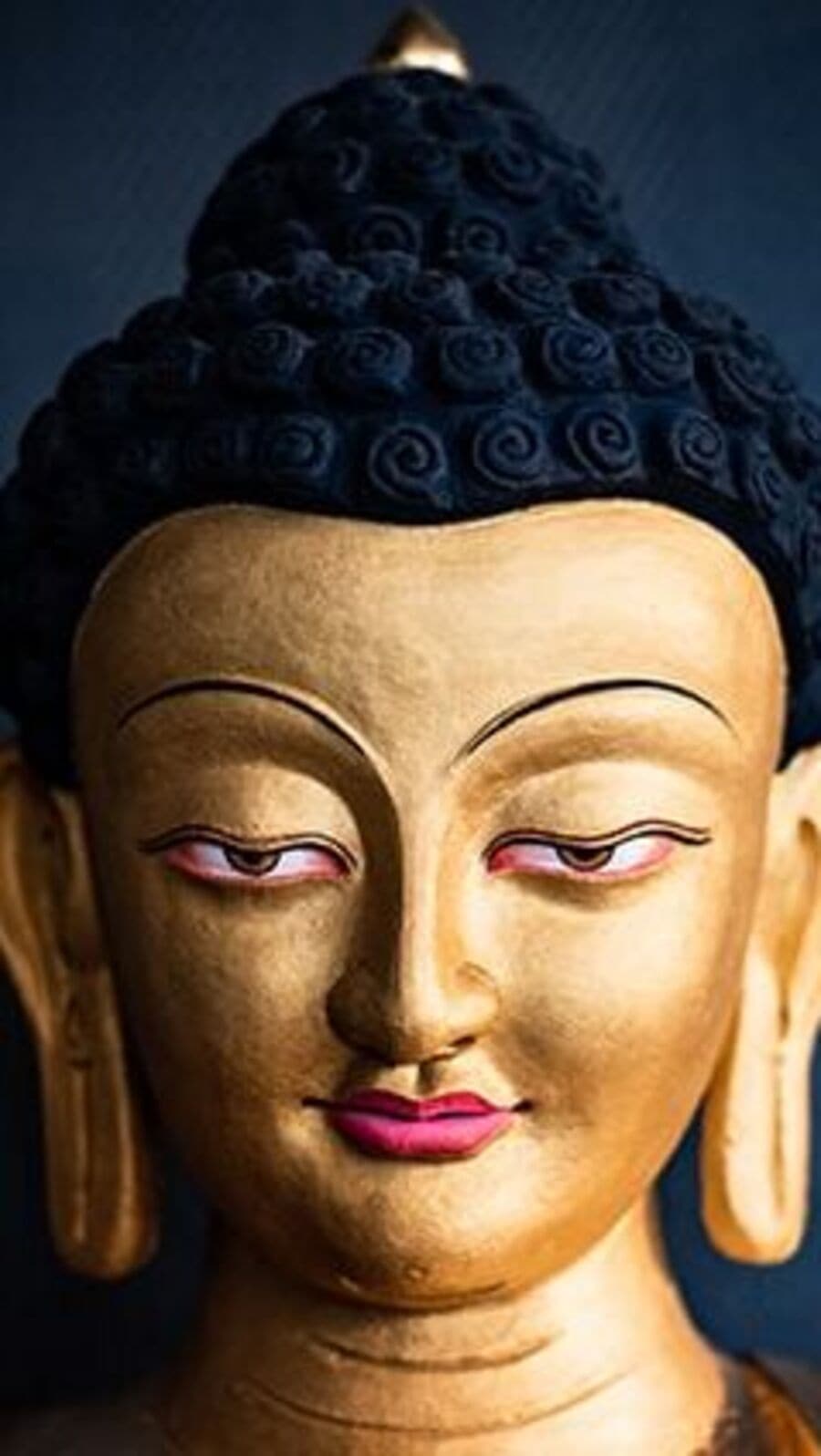 বুদ্ধ পূর্ণিমায় মাতোয়ারা দেশ, গৌতম বুদ্ধকে নিয়ে তৈরি হয়েছে কোন কোন ছবি?