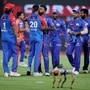কোন অঙ্কে IPL 2025-এর শীর্ষ দুই-এ উঠবে কারা? (ছবি : REUTERS)