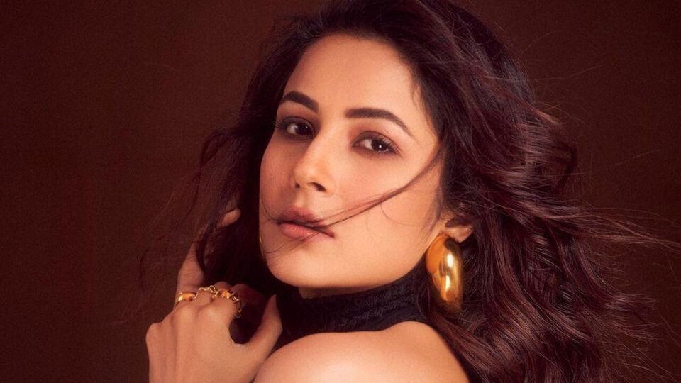 দুপুরের খাবারে শেহনাজ রাখতেন এমন সব খাবার যা শুধু সহজপাচ্যই নয়, পুষ্টিগুণে সমৃদ্ধও। তাঁর প্লেটে এই সময় থাকত ডাল, স্যালাড ও স্প্রাউটস, স্ক্য়াম্বলড তোফু এবং মাল্টিগ্রেন আটা দিয়ে তৈরি একটি রুটি। যাতে থাকত ঘি মাখানো। প্রোটিন, কার্বোহাইড্রেট ও ফাইবারের সঠিক মিশ্রণ। 
