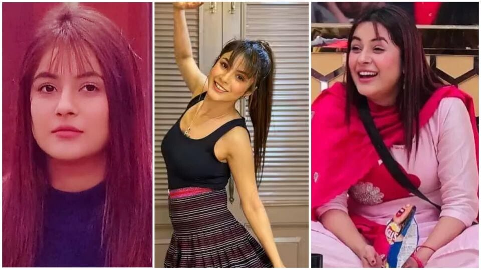 পঞ্জাবের সাধাসিধে মেয়ে শেহনাজ গিল। দু-একটি সিনেমা, মিউজিক ভিডিয়োতে কাজ করেছিলেন। তারপরই ডাক আসে বিগ বস থেকে। ব্যস, তারপর যেন রাতারাতি বদলে যায় ভাগ্য। তবে শুধু ভাগ্যের জেরে নয়, কঠিন পরিশ্রমও করেছেন শেহনাজ। সম্প্রতি সামনে আসা এক রিপোর্ট অনুসারে, ৬ মাসে তিনি কমিয়েছেন ৫৫ কেজি ওজন।
