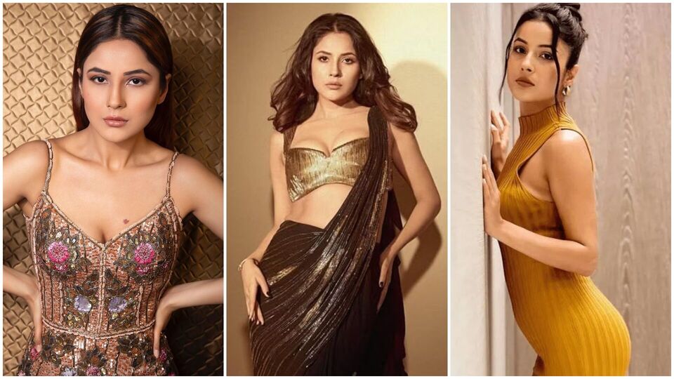 সঙ্গে আপনিও যদি শেহনাজ গিলের মতো ছিপছিপে রোগা হতে চান, তাহলে পর্যাপ্ত ঘুমও বিশেষ দরকার। অন্তত ৭-৮ ঘণ্টা ঘুমোতে হবে, শরীরকে দিতে হবে সঠিক বিশ্রাম। সঙ্গে নিজের ওয়েটলস জার্নির ট্র্যাক রাখাও দরকারি। কতটা ওজন দিয়ে শুরু করলেন তা খাতায় নোটডাউন করুন। সবচেয়ে ভালো হয়, সকালে যদি ওজন মাপতে পারেন রোজ, তবে তার আগে পেট পরিষ্কার করতে হবে। সঙ্গে অবশ্যই মাঝে মাঝে থাক চিট মিল। ৭-১০দিন পরপর, অন্তত একটা মিলে রাখুন আপনার পছন্দের কোনো খাবার। তবে হ্যাঁ, সেটিও কিন্তু পরিমাণমতো খেতে হবে। নয়তো বৃথা হবে আপনার ব কষ্ট। 