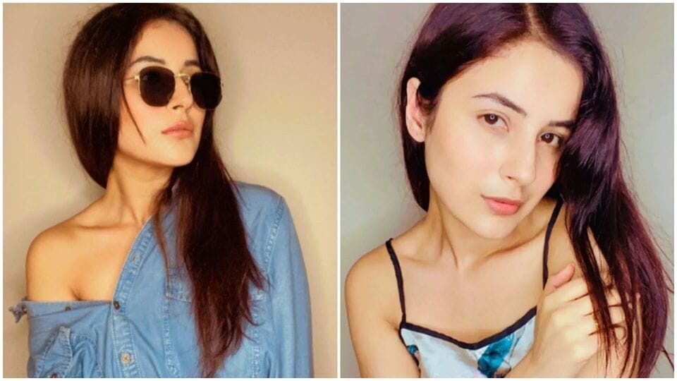 রাতের খাবার থাকত আরও হালকা। শেহনাজ খেতেন খিচুড়ি, দই আর বটল গার্ডের স্যুপ। রাতে হালকা খাবার, বিশেষ করে ঘুমের অন্তত ২-৩ ঘণ্টা আগে, সাহায্য করে হজম ক্ষমতা ভালো রাখতে, পেট থাকে পরিষ্কার আর ঘুমও হয় ভালো। সঙ্গে ডিনারে সঠিক পরিমাণে খাবার খেলে ব্লোটিং হয় না, ভালো থাকে মেটাবলিজম। 