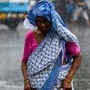 ১ জুন উত্তরবঙ্গের দার্জিলিং, জলপাইগুড়ি, কালিম্পং, আলিপুরদুয়ার, কোচবিহারে বজ্রপাত সহ ভারী বৃষ্টি হওয়ার সম্ভাবনা আছে। এরই সঙ্গে উত্তর দিনাজপুর, দক্ষিণ দিনাজপুর এবং মালদাতে বজ্রপাত সহ মাঝারি বৃষ্টির সম্ভাবনা আছে। উত্তরবঙ্গের সব জেলারই কোথাও না কোথাও ঝোড়ো হাওয়া বইতে পারে। এই আবহে উত্তরবঙ্গের সব জেলায় জারি করা হয়েছে হলুদ সতর্কতা।  