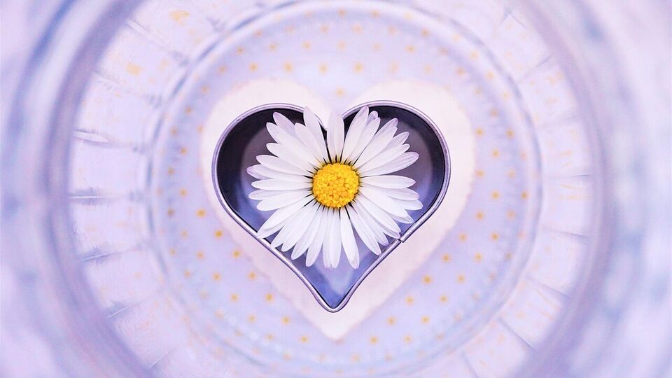 বৃশ্চিক: এই সপ্তাহে বৃশ্চিক রাশির জাতকদের প্রেম জীবনে কিছু অপ্রত্যাশিত মোড়ের মুখোমুখি হতে হবে। কাছের কারও সঙ্গে ঝগড়া হতে পারে অথবা অহংকারের সংঘাত হতে পারে। এমন পরিস্থিতিতে রাগের চেয়ে যোগাযোগের উপর বেশি জোর দিন। যদি আপনি কোনও সম্পর্কে থাকেন এবং এটিকে বাঁচাতে চান, তাহলে কঠোর কথা এড়িয়ে চলুন এবং আবেগগত বোঝাপড়া দেখান। সপ্তাহান্তে, কোনও পুরানো স্মৃতি বা অতীতের প্রেম আপনার আবেগকে জাগিয়ে তুলতে পারে। 