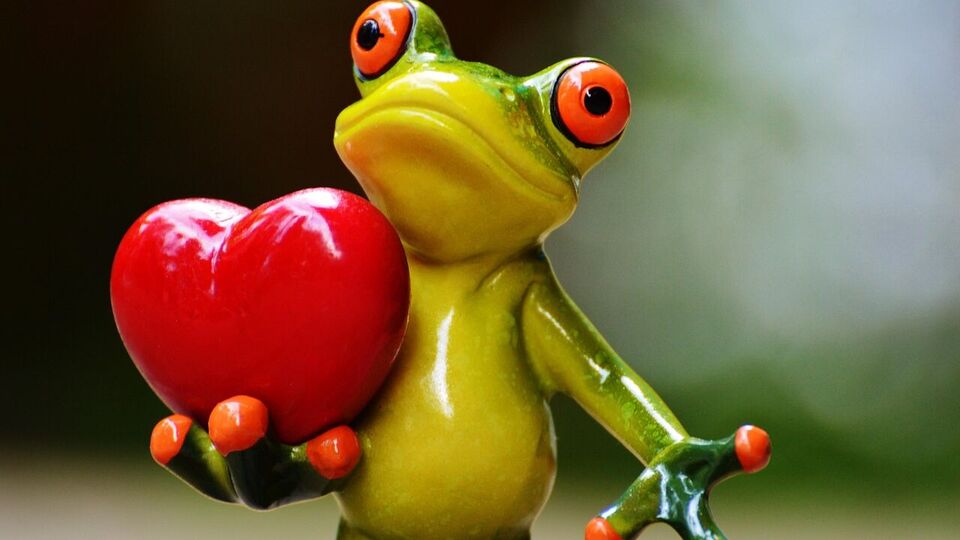 মিথুন: মিথুন রাশির জাতকরা এই সপ্তাহে তাদের আকর্ষণীয় ব্যক্তিত্ব এবং কথার মিষ্টতা দিয়ে মানুষের মন জয় করতে পারেন। যদি আপনি ইতিমধ্যেই কোনও সম্পর্কের মধ্যে থাকেন, তাহলে এতে নতুন শক্তি এবং সতেজতা আসবে। স্ত্রী বা প্রেমিকার সঙ্গে আবেগপূর্ণ কথোপকথন সম্পর্কের গভীরতা আরও বাড়িয়ে তুলবে। নতুন পরিকল্পনা বা ভবিষ্যৎ নিয়ে আলোচনা হতে পারে, যার কারণে আপনারা দুজনেই একই দিকে চিন্তাভাবনা শুরু করবেন। যদি আপনি অবিবাহিত হন, তাহলে কেউ আপনাকে অপ্রত্যাশিতভাবে আকর্ষণ করতে পারে। সপ্তাহের শেষে প্রেমের সম্পর্ক সম্পর্কে একটি বড় সিদ্ধান্ত বা প্রতিশ্রুতি নেওয়া সম্ভব হবে। অহংকার ত্যাগ করুন এবং যোগাযোগকে অগ্রাধিকার দিন।