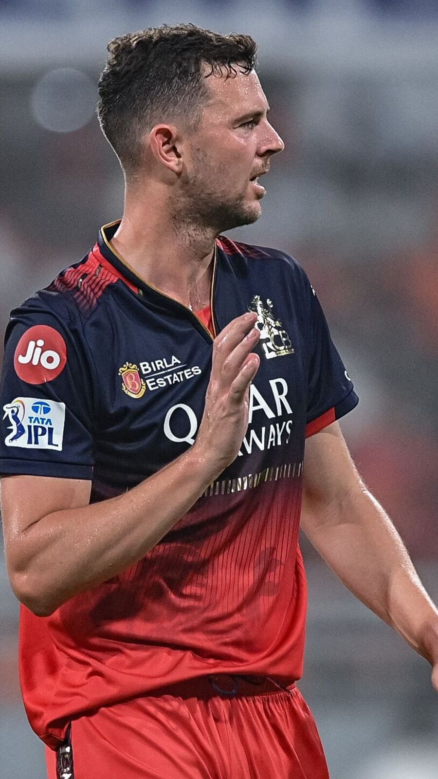 IPL 2025 ফাইনালের কোন ক্রিকেটাররা আগেও চ্যাম্পিয়ন হয়েছেন?