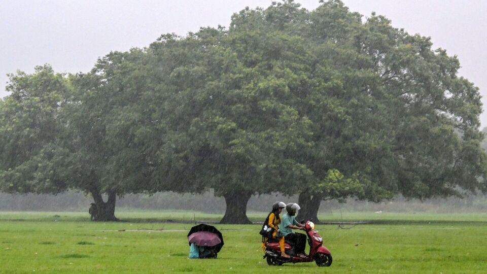 ৫ জুন দুপুর থেকে দক্ষিণবঙ্গের প্রতিটি জেলার একাধিক অংশে বজ্রবিদ্যুৎ-সহ হালকা থেকে মাঝারি বৃষ্টি হবে। মুর্শিদাবাদ, পূর্ব বর্ধমান, পশ্চিম বর্ধমান, পূর্ব মেদিনীপুর, পশ্চিম মেদিনীপুর, উত্তর ২৪ পরগনা এবং দক্ষিণ ২৪ পরগনায় ঘণ্টায় ৪০-৫০ কিলোমিটার বেগে ঝোড়ো হাওয়া বইবে। কলকাতা, হাওড়া, হুগলি, ঝাড়গ্রাম, বীরভূম এবং নদিয়ায় ঝড়ের বেগ থাকবে ঘণ্টায় ৩০-৪০ কিমি। প্রতিটি জেলায় হলুদ সতর্কতা জারি করা হয়েছে। (AFP)