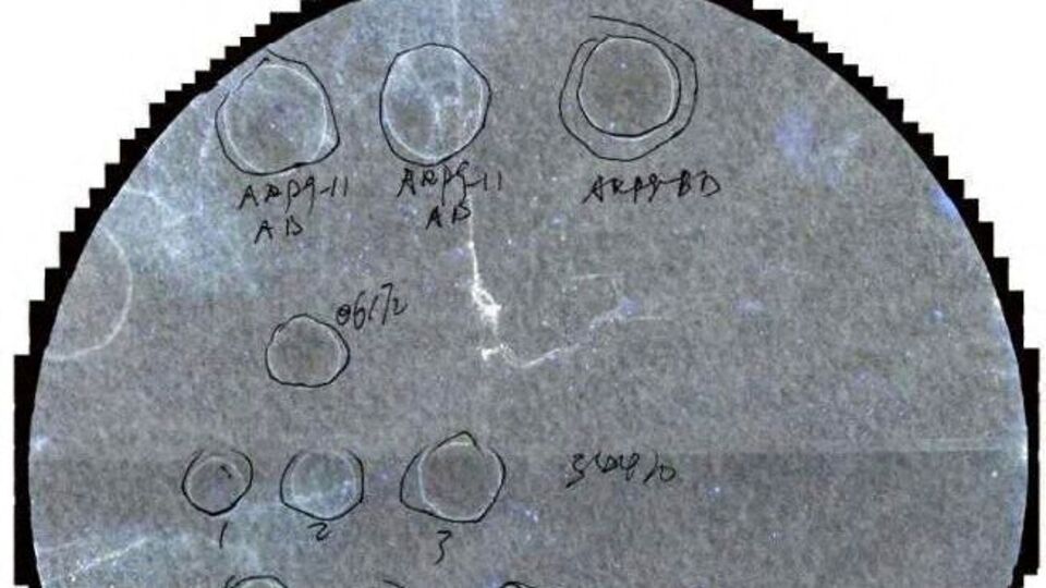 রিপোর্ট অনুযায়ী, গত ৪ জুন যে চিনা দম্পতিকে গ্রেফতার করা হয়, তাদের বিরুদ্ধে অভিযোগ, কৃষি সন্ত্রাসের অস্ত্র হিসেবে ব্যবহার করা যেতে পারে এমন একটি বিপজ্জনক জৈবিক রোগজীবাণু পাচারের চেষ্টা করেছিলেন তাঁরা। আর ৯ জুন ধৃত হানের বিরুদ্ধে অভিযোগ, তিনি নাকি চিন থেকে ৪টি জৈবিক পদার্থের প্যাকেট পাঠিয়েছিলেন মিশিগানে পড়াশোনা করা ৪ জনকে। (via REUTERS)