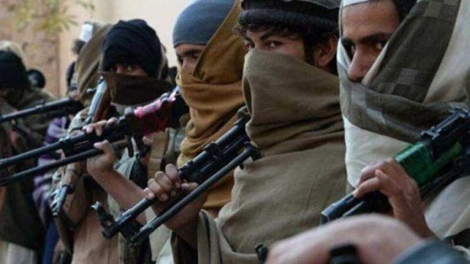 টেররিজম রিসার্চ অ্যান্ড অ্যানালাইসিস কনসোর্টিয়ামের (ট্র্যাক) বিশ্লেষকদের মতে, ব্রিগেড ৩১৩ পাকিস্তানভিত্তিক আল-কায়দার সহযোগী সংগঠন। এই গোষ্ঠীটি পাকিস্তানে সক্রিয় অন্যান্য অনেক চরমপন্থী ও সন্ত্রাসী গোষ্ঠীর পরামর্শদাতা হিসাবে কাজ করে। ট্র্যাকের মতে, এই গোষ্ঠীতে তালিবান, লস্কর-ই-জাংভি এবং হরকত-উল-জিহাদ-আল-ইসলামির মতো গোষ্ঠীর সদস্যরাও রয়েছে। 