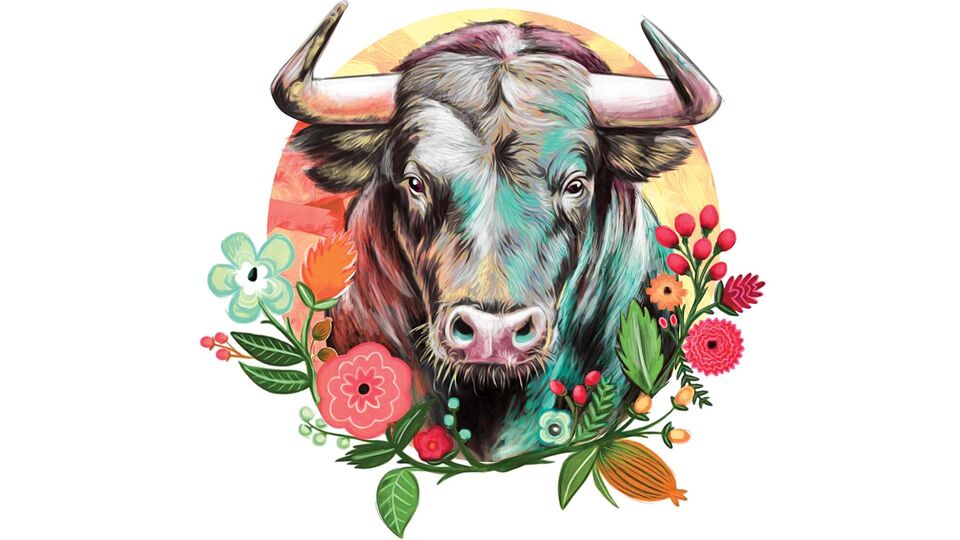 বৃষ রাশি - বৃষ রাশির অধিপতি শুক্র নিজেই। যখন এটি শনির সঙ্গে শুভ সংযোগ তৈরি করে, তখন বৃষ জাতকরা সরাসরি উপকার পান। এই সময় কেরিয়ারে বড় সাফল্য আসে। ব্যবসায়ীদের জন্যও সময়টা লাভজনক হয়। আর্থিক পরিস্থিতি বেশ ভালো থাকবে এবং আয়ের ধারাবাহিক বৃদ্ধি ঘটবে। এই সময়ের মধ্যে নতুন সম্পর্ক তৈরি হতে পারে যা ব্যক্তিগত এবং সামাজিক জীবনে ইতিবাচক পরিবর্তন আনবে।