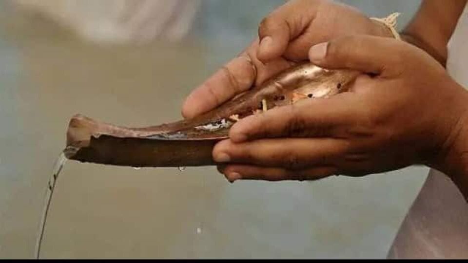 আষাঢ় অমাবস্যার দিনে, পূর্বপুরুষদের জন্য তর্পণ, শ্রাদ্ধ, দান করুন। ব্রাহ্মণ ভোজের আয়োজন করুন এবং অবশ্যই দরিদ্রদের দান করুন। কুকুর, গরু, কাক, পিঁপড়ার জন্যও খাবার বের করুন। মাছদের আটার বল খাওয়ান।