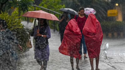 বুধবার শুধুমাত্র আলিপুরদুয়ারে ভারী বৃষ্টি হবে। তাছাড়াও জলপাইগুড়ি, কোচবিহার, উত্তর দিনাজপুর, দক্ষিণ দিনাজপুর এবং মালদায় বজ্রবিদ্যুৎ-সহ হালকা থেকে মাঝারি বৃষ্টি হতে পারে। সেই ছ'টি জেলায় হলুদ সতর্কতা জারি করা হয়েছে। হালকা থেকে মাঝারি বৃষ্টি হবে দার্জিলিং এবং কালিম্পঙে। ওই দুটি জেলায় জারি করা হয়নি কোনও সতর্কতা। (ছবিটি প্রতীকী, সৌজন্যে পিটিআই) বুধবার শুধুমাত্র আলিপুরদুয়ারে ভারী বৃষ্টি হবে। তাছাড়াও জলপাইগুড়ি, কোচবিহার, উত্তর দিনাজপুর, দক্ষিণ দিনাজপুর এবং মালদায় বজ্রবিদ্যুৎ-সহ হালকা থেকে মাঝারি বৃষ্টি হতে পারে। সেই ছ'টি জেলায় হলুদ সতর্কতা জারি করা হয়েছে। হালকা থেকে মাঝারি বৃষ্টি হবে দার্জিলিং এবং কালিম্পঙে। ওই দুটি জেলায় জারি করা হয়নি কোনও সতর্কতা। (ছবিটি প্রতীকী, সৌজন্যে পিটিআই)