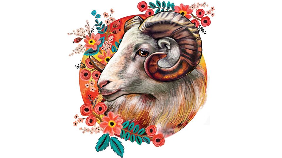 মেষ: দিনটি আপনার জন্য একটি দুর্দান্ত দিন হবে। এই রাশির জাতক জাতিকাদের কোনও কোম্পানি থেকে চাকরির জন্য ডাক আসতে পারে। এছাড়াও, নতুন কোর্সে যোগদানের জন্য দিনটি শুভ। কোনও বেসরকারি কোম্পানিতে কর্মরত কর্মীদের কাজের জন্য বিদেশ ভ্রমণ করতে হতে পারে। 