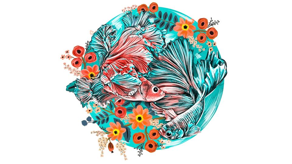 মীন: দিনটি আপনার জন্য সৃজনশীল কাজে কাজ করার এবং আপনার নেতৃত্বের দক্ষতা বৃদ্ধি পাবে। আপনি আপনার আয় বৃদ্ধির প্রচেষ্টা তীব্র করবেন। সকলকে সাথে নিয়ে চলার প্রচেষ্টায় আপনি সফল হবেন। আপনার সম্পূর্ণ মনোযোগ ব্যবসায়ের উপর থাকবে, তবেই আপনার সমস্ত কাজ সহজেই সম্পন্ন হবে। 