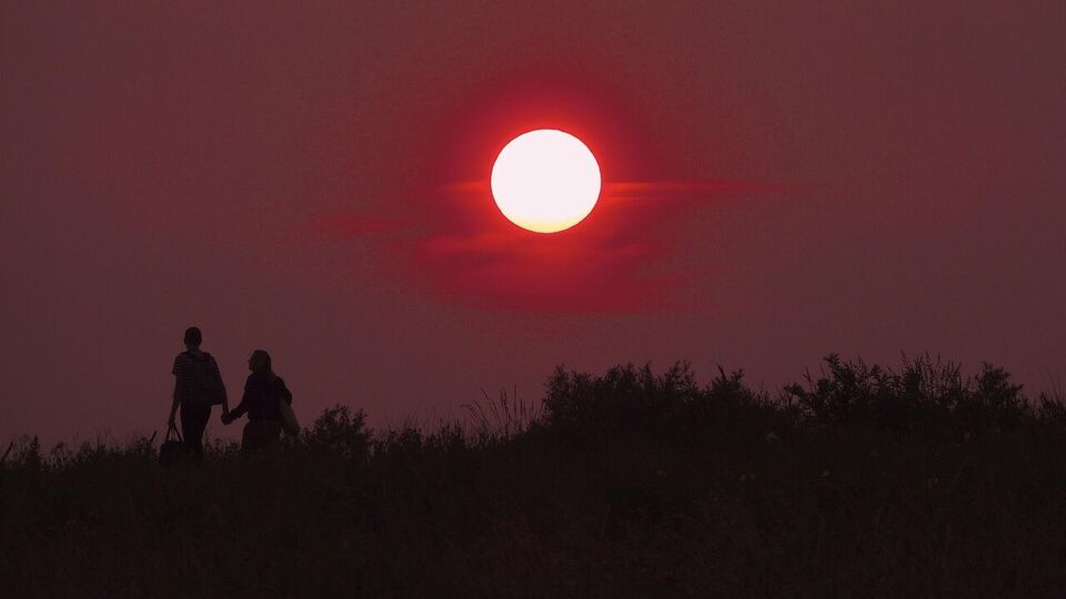 বৃষ: বৃষ রাশির প্রেমীদের জন্য এই সপ্তাহটি প্রেমের দিক থেকে সুখ এবং রোমান্সে পূর্ণ থাকবে। সপ্তাহটি কিছু সুসংবাদ বা অপ্রত্যাশিত চমক দিয়ে শুরু হতে পারে। সঙ্গীর সঙ্গে সম্পর্কের ক্ষেত্রে মিষ্টিতা বৃদ্ধি পাবে এবং মানসিক গভীরতা অনুভব করবেন। আপনারা দুজনেই একসঙ্গে সময় কাটাতে, ভ্রমণ করতে বা একসঙ্গে কিছু সৃজনশীল কাজ করতে আগ্রহী হতে পারেন। সপ্তাহের শেষটি উদযাপন এবং আনন্দে পূর্ণ হতে পারে, তবে মনে রাখবেন যে ছোট ছোট জিনিসগুলি অহংকারের কারণে সম্পর্ককে তিক্ত করে তুলবে। ধৈর্য ধরে একে অপরের কথা শুনে তারপর প্রতিক্রিয়া জানানো ভালো হবে।