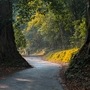 যখন এখানে এসেছিলাম...