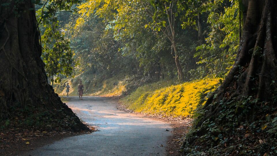 যখন এখানে এসেছিলাম... যখন এখানে এসেছিলাম...