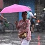 রবিবার দক্ষিণবঙ্গের চারটি জেলার (পুরুলিয়া, বাঁকুড়া, ঝাড়গ্রাম এবং পশ্চিম মেদিনীপুর) একটি বা দুটি অংশে ভারী বৃষ্টি হবে। ওই জেলাগুলিতে কমলা সতর্কতা জারি করা হয়েছে। বাকি জেলাগুলির একটি বা দুটি অংশে ভারী বৃষ্টি হবে। ওই জেলাগুলিতে হলুদ সতর্কতা জারি করা হয়েছে। আবার সোমবার শুধুমাত্র পুরুলিয়া, পশ্চিম বর্ধমান, বীরভূম এবং মুর্শিদাবাদে শুধুমাত্র ভারী বৃষ্টি হবে। শুধুমাত্র ওই চারটি জেলায় হলুদ সতর্কতা জারি করা হয়েছে। (ছবি সৌজন্যে, সমীর জানা/হিন্দুস্তান টাইমস)
