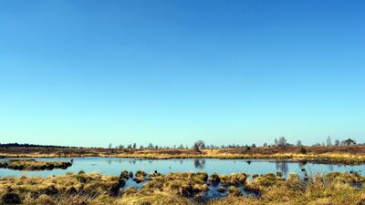 পূর্ব কলকাতা জলাভূমিকে ঘিরে বড় পরিকল্পনা পুরসভার, জোর ইকো-ট্যুরিজমে পূর্ব কলকাতা জলাভূমিকে ঘিরে বড় পরিকল্পনা পুরসভার, জোর ইকো-ট্যুরিজমে