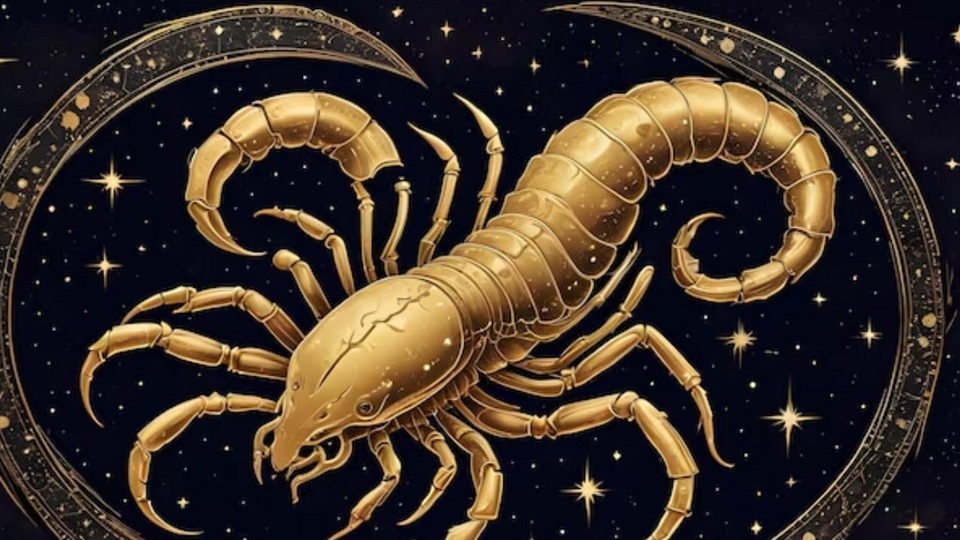 বৃশ্চিক রাশি: আজ আপনি কিছুটা নিস্তেজ এবং অধৈর্য অনুভব করতে পারেন। অপ্রয়োজনীয় আত্ম-সমালোচনা এড়িয়ে চলুন। প্রতিদ্বন্দ্বীদের উপর নজর রাখুন এবং পেশাগত জীবনে অবাস্তব প্রচেষ্টা থেকে বিরত থাকুন। নতুন বিনিয়োগ আপাতত স্থগিত রাখুন। মা এবং বয়স্কদের প্রতি বিশেষ যত্ন নিন।