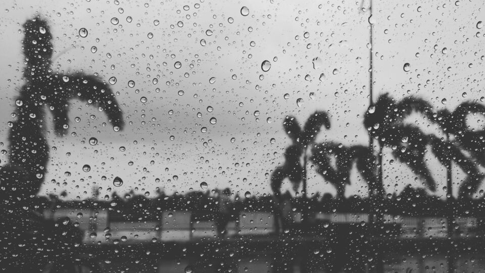 বৃহস্পতিবার থেকে দক্ষিণবঙ্গের আবহাওয়া- বৃহস্পতিবার ১০ জুলাই, পশ্চিমবঙ্গে হালকা থেকে মাঝারি বর্ষণ হতে পারে বেশ কিছু জায়গায়। পুরুলিয়া, বাঁকুড়া, পশ্চিম বর্ধমান, বীরভূমে ঝড়বৃষ্টির সম্ভাবনা রয়েছে। বাকি জেলাতেও একই সম্ভাবনা। বজ্রবিদ্যুৎ সহ বৃষ্টির সম্ভাবনা রয়েছে, দুই মেদিনীপুর, দুই ২৪ পরগনা, পুরুলিয়া, ঝাড়গ্রাম, বাঁকুড়ায়। শুক্র ও শনিবার হালকাথেকে মাঝারি বৃষ্টিপাতের সঙ্গে দক্ষিণবঙ্গের বহু জায়গায় ঝোড়ো হাওয়া বয়ে যাওয়ার সম্ভাবনা রয়েছে। 