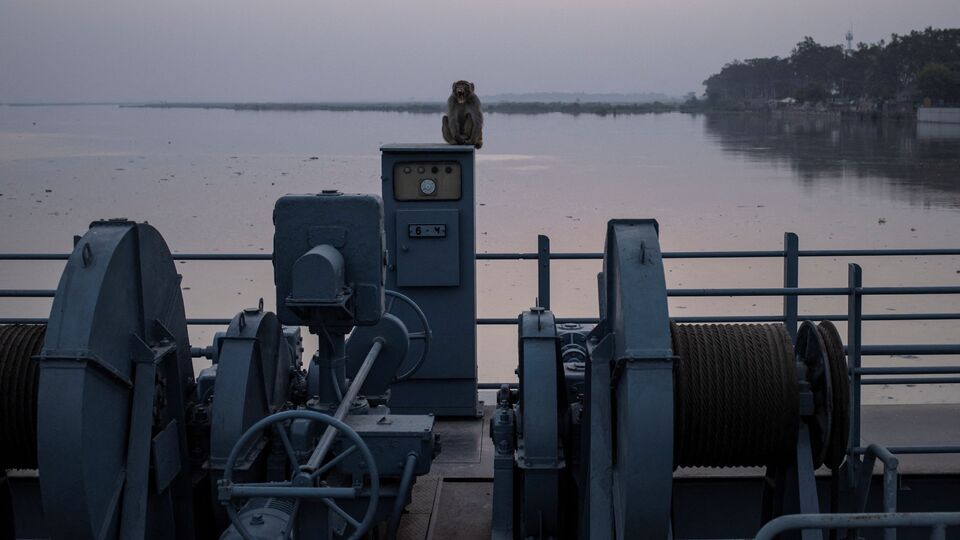 ২০২৪ সালের জানুয়ারিতে চেনাব নদীর প্রবাহের গতিপথ পরিবর্তনের কাজ সফলভাবে শেষ হয়েছিল। এটি যে কোনও জলবিদ্যুৎ প্রকল্পে একটি উল্লেখযোগ্য অর্জন হিসাবে বিবেচিত হয়। এ ছাড়া ৬০৯ মিটার দীর্ঘ মূল সুড়ঙ্গের খননকাজও শুরু হয়েছে। এখন বাঁধের মূল নির্মাণ কাজ পুরোদমে চলছে। (REUTERS)