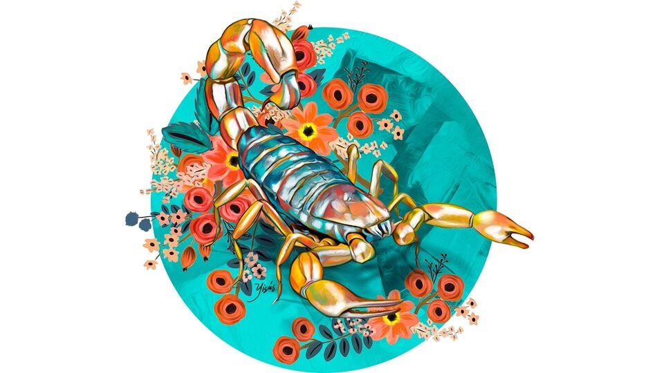 বৃশ্চিক: পেশাগত জীবনে সহকর্মীদের কাছ থেকে আপনি সমর্থন পাবেন। দলগত কাজ কাজের ভালো ফলাফল দেবে। আপনি ভেবেচিন্তে আপনার বিনিয়োগের পরিকল্পনা করতে পারেন। পরিবারের সদস্যদের সাথে আদর্শিক পার্থক্য সম্ভব, তবে অপ্রয়োজনীয় তর্ক থেকে দূরে থাকুন। 