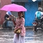 মঙ্গলবার দক্ষিণবঙ্গের সব জেলায় হলুদ সতর্কতা জারি করা হয়েছে। প্রতিটি জেলায় ঘণ্টায় ৩০-৪০ কিলোমিটার বেগে ঝোড়ো হাওয়া বইবে। পুরুলিয়া, বাঁকুড়া, পূর্ব বর্ধমান, পশ্চিম বর্ধমান, বীরভূম এবং মুর্শিদাবাদে ভারী বৃষ্টি হবে। কলকাতা, হাওড়া, হুগলি, উত্তর ২৪ পরগনা, দক্ষিণ ২৪ পরগনা, পূর্ব মেদিনীপুর, পশ্চিম মেদিনীপুর, ঝাড়গ্রাম এবং নদিয়ার অধিকাংশ জায়গায় বজ্রবিদ্যুৎ-সহ হালকা থেকে মাঝারি বৃষ্টি হতে পারে। (ছবি সৌজন্যে, সমীর জানা/হিন্দুস্তান টাইমস)