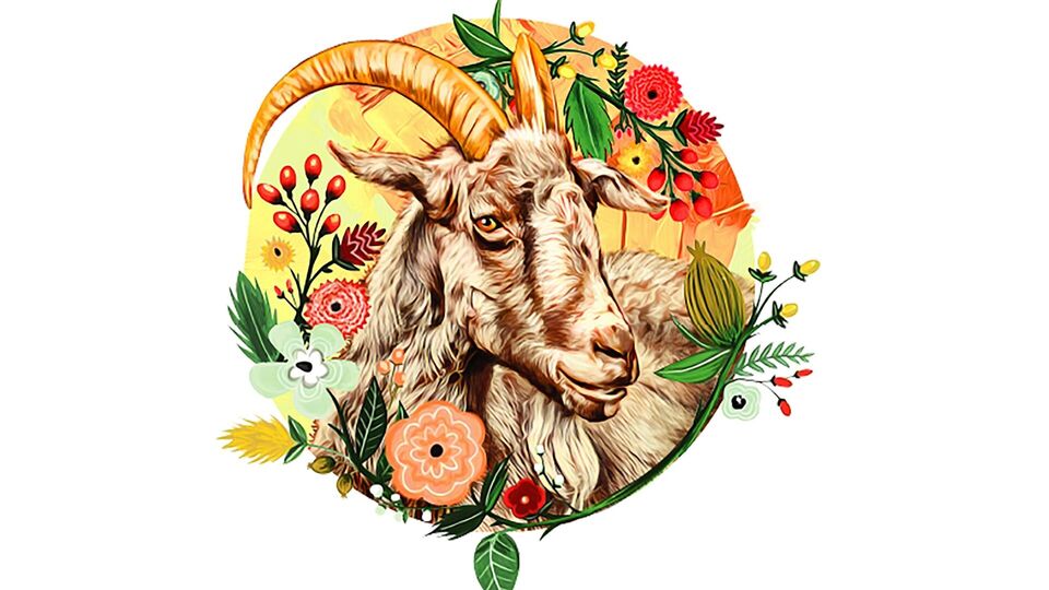 মকর -স্বাস্থ্যের দিক থেকে দিনটি ভালো। ব্যয় নিয়ন্ত্রণে রাখা প্রয়োজন। আপনার দিনটি সুখের হবে। আপনার সঙ্গীকে ডেটে নিয়ে যাওয়ার পরিকল্পনা করুন। কম চাপ নিন। 