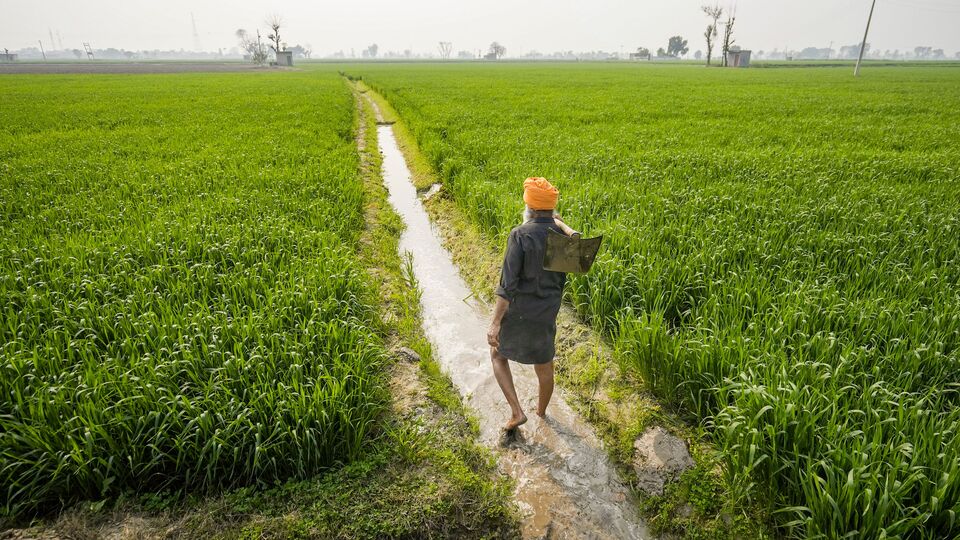 উল্লেখ্য, এই সৌদিতেও ২০২৫ এপ্রিল মাসে গিয়েছিলেন প্রধানমন্ত্রী মোদী। তবে সেই সময়ই কাশ্মীরের পহেলগাঁওতে হয় জঙ্গি হানা। সফর কাটছাঁট করে দেশে ফেরেন মোদী। মোদীর সেই সফরের পর সৌদিতে এবার গেলেন কেন্দ্রীয় মন্ত্রী নড্ডা। আর সেখানে যেতেই স্বাক্ষরিত হল এই তাবড় চুক্তি। (ছবিটি প্রতীকী, সৌজন্যে পিটিআই)