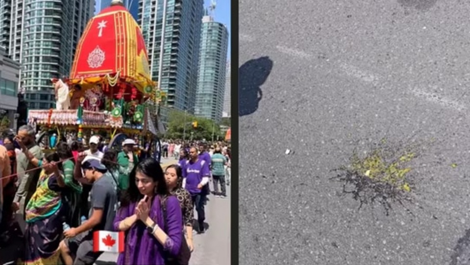 ভারত সরকারের তরফে যে সেই বিবৃতি দেওয়া হয়েছে, সেটার নেপথ্যে রয়েছে একটি ভাইরাল ভিডিয়ো। একটি ভিডিয়ো পোস্ট করে রবিবার এক মহিলা অভিযোগ করেন, টরেন্টোয় যখন রথযাত্রা হচ্ছিল, তখন আশপাশের বাড়ি থেকে ডিম ছোড়া হয়েছে। তাঁর ভিডিয়োয় দেখা গিয়েছে যে রাস্তায় ডিম ফেটে পড়ে আছে। তবে তারপরও রথযাত্রা চলতে থাকে বলে জানান মহিলা। (সৌজন্যে ইনস্টাগ্রাম @DMBlSMRulis)