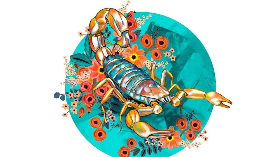 বৃশ্চিক: আত্মবিশ্বাসের অভাবকে আপনার উপর প্রভাব ফেলতে দেবেন না কারণ এটি কেবল আপনার সমস্যাকে আরও কঠিন করে তুলতে পারে। দিনটি আর্থিকভাবে ভালো যাবে। ব্যবসা প্রসারিত হতে পারে।