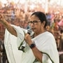 মুখ্যমন্ত্রী মমতা বন্দ্যোপাধ্যায়। (PTI)