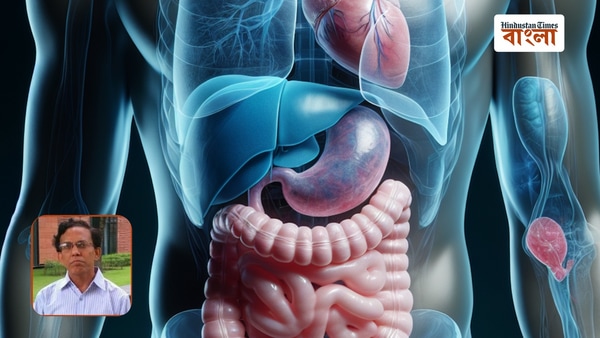 ফ্যাটি লিভার ও হেপাটাইটিস কি একে অপরের সঙ্গে যুক্ত? HT বাংলায় আলোচনায় চিকিৎসক ফ্যাটি লিভার ও হেপাটাইটিস কি একে অপরের সঙ্গে যুক্ত? HT বাংলায় আলোচনায় চিকিৎসক