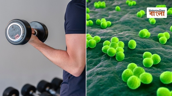 জিম হয়ে উঠছে সুপারবাগের আঁতুড়! ব্রিটেন, US-এ বাড়ছে সতর্কতা, কী করতে বলা হচ্ছে?