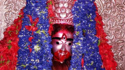 দেবীর ভোগ- কৌশিকী অমাবস্যা ২০২৫র তিথিতে গোটা দিনে চারবার দেবীকে ভোগ দেওয়া হয়। সকাল,দুপুর,সন্ধ্যা এবং রাত্রে এই ভোগ দেওয়া হয়। দেবীকে অমাবস্যায় দুপুরে সাদা ভাত, পোলাও, ফ্রায়েড রাইস নিবেদন করা হয় ৷ সঙ্গে থাকে ১১ রকম ভাজা ও পোড়া শোলমাছ, ৫ রকমের মাছভাজা, চাটনি ও পায়েস৷ দেবীর ভোগ- কৌশিকী অমাবস্যা ২০২৫র তিথিতে গোটা দিনে চারবার দেবীকে ভোগ দেওয়া হয়। সকাল,দুপুর,সন্ধ্যা এবং রাত্রে এই ভোগ দেওয়া হয়। দেবীকে অমাবস্যায় দুপুরে সাদা ভাত, পোলাও, ফ্রায়েড রাইস নিবেদন করা হয় ৷ সঙ্গে থাকে ১১ রকম ভাজা ও পোড়া শোলমাছ, ৫ রকমের মাছভাজা, চাটনি ও পায়েস৷