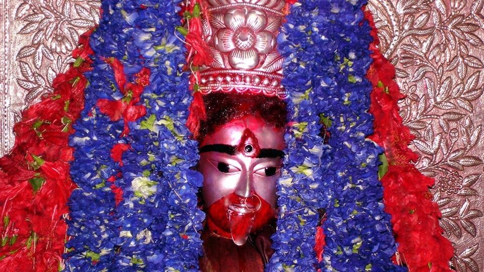 দেবীর ভোগ- কৌশিকী অমাবস্যা ২০২৫র তিথিতে গোটা দিনে চারবার দেবীকে ভোগ দেওয়া হয়। সকাল,দুপুর,সন্ধ্যা এবং রাত্রে এই ভোগ দেওয়া হয়। দেবীকে অমাবস্যায় দুপুরে সাদা ভাত, পোলাও, ফ্রায়েড রাইস নিবেদন করা হয় ৷ সঙ্গে থাকে ১১ রকম ভাজা ও পোড়া শোলমাছ, ৫ রকমের মাছভাজা, চাটনি ও পায়েস৷ 