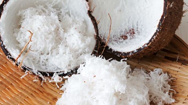 পুজোয় নাড়ু নয় নারকেল দিয়ে বানিয়ে নিন এই সব মিষ্টি! রইল সহজ রেসিপি