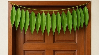 মূল দরজার সামনে আমপাতার তোরণ ঝোলান?