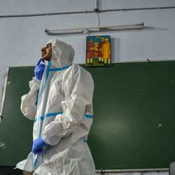 Highlights: 5 new coronavirus deaths in Uttarakhand, tally crosses 8K mark