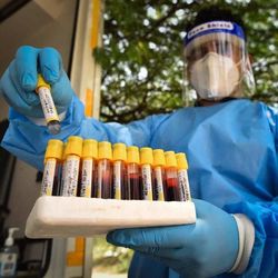 Highlights: 5 new coronavirus deaths in Uttarakhand, tally crosses 8K mark