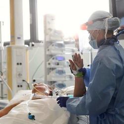 Highlights: Himachal reports over 100 fresh Covid-19 cases, tally rises to 3,372