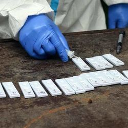 Highlights: Brazil's Sao Paulo Governor tests positive for Covid-19