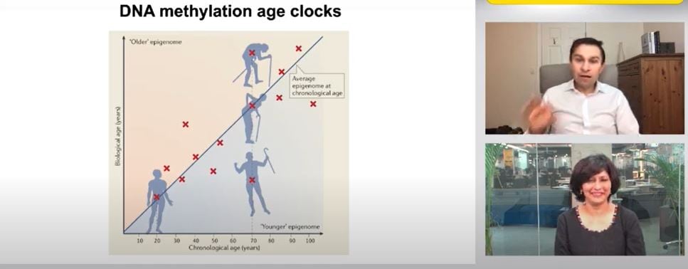 <p>The difference between biological age and chronological age</p>