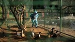 Teams from Delhi's Animal Husbandry Department have reached the spot to collect samples. The protocol report is expected on January 11. Image used for representational purpose only. (AP) Teams from Delhi's Animal Husbandry Department have reached the spot to collect samples. The protocol report is expected on January 11. Image used for representational purpose only. (AP)