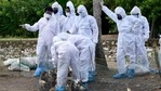 A team of health experts, from the Union Ministry of Health and Family Welfare visit a bird flu-affected area at Karuvatta in Alappuzha district on Thursday.(PTI) A team of health experts, from the Union Ministry of Health and Family Welfare visit a bird flu-affected area at Karuvatta in Alappuzha district on Thursday.(PTI)