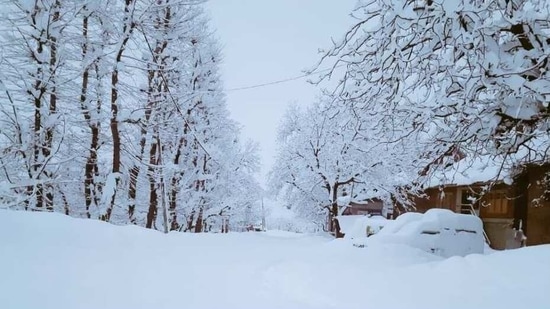 The vision of snow covered trees with white mountains in the backdrop during the winters is why Kashmir is also known as Paradise on Earth. (Twitter/Sxmlyxl) The vision of snow covered trees with white mountains in the backdrop during the winters is why Kashmir is also known as Paradise on Earth. (Twitter/Sxmlyxl)