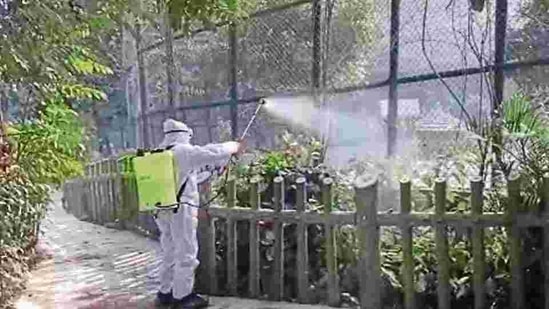 Measures are being taken at the Patna zoo to prevent Bird Flu.(HT Photo) Measures are being taken at the Patna zoo to prevent Bird Flu.(HT Photo)